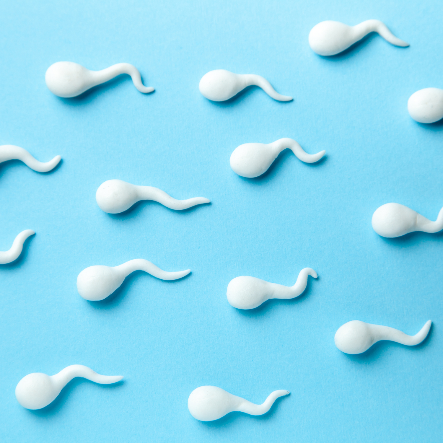 Vaud | Sperm Support