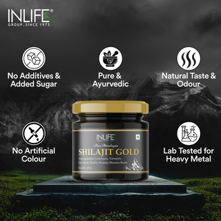 Pure Himalaya Shilajit