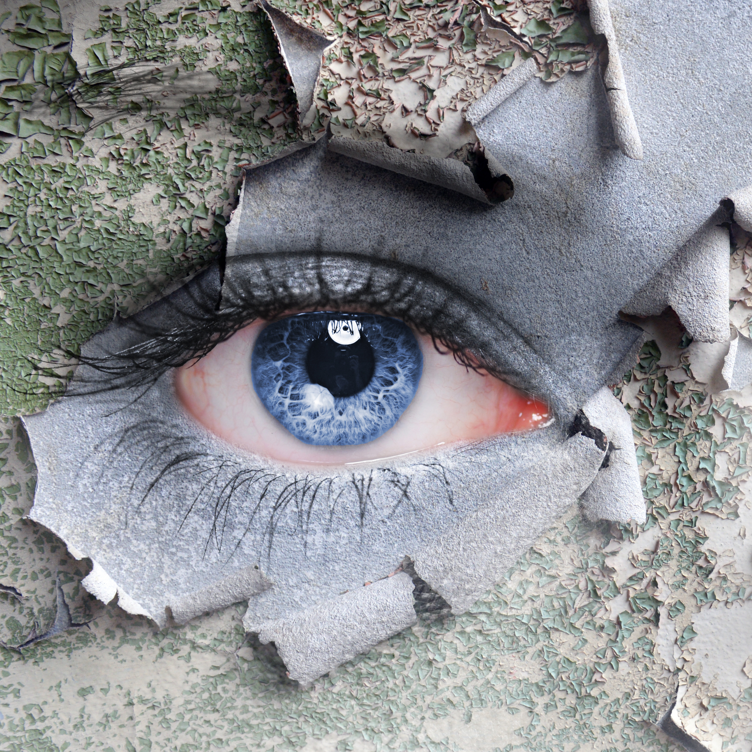 Inlife | Eye Health – Oogondersteuning met Luteïne, Zeaxanthine & Antioxidanten