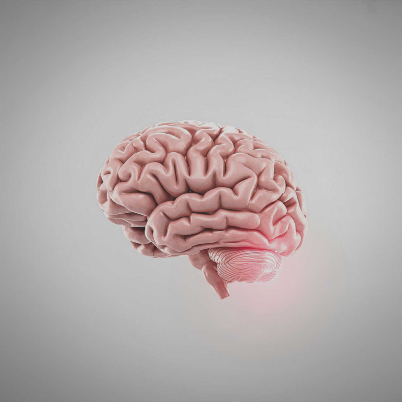 Vitamin B12 und Alpha-Liponsäure